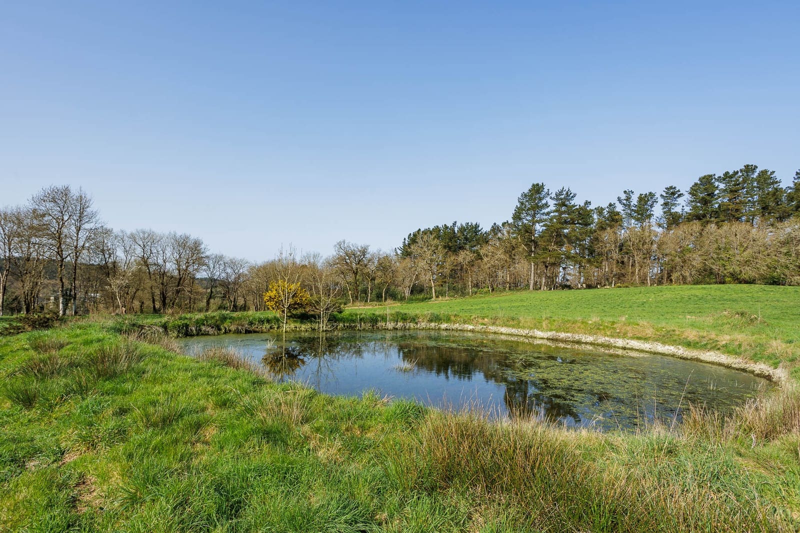 Grunde uden byggetilladelser til salg i Lugo by - € 599.999 (Ref: 8451335)