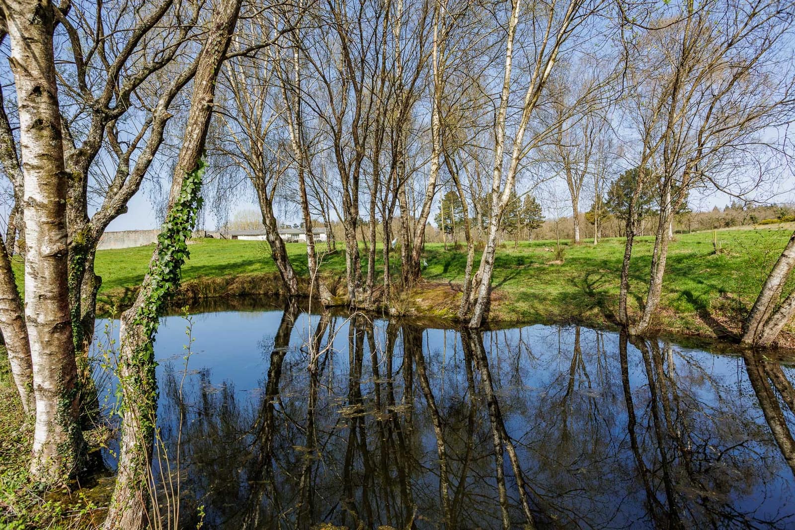 Grunde uden byggetilladelser til salg i Lugo by - € 599.999 (Ref: 8451335)