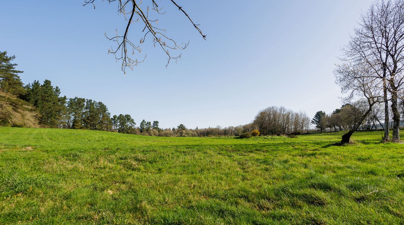 Grunde uden byggetilladelser til salg i Lugo by - € 599.999 (Ref: 8451335)