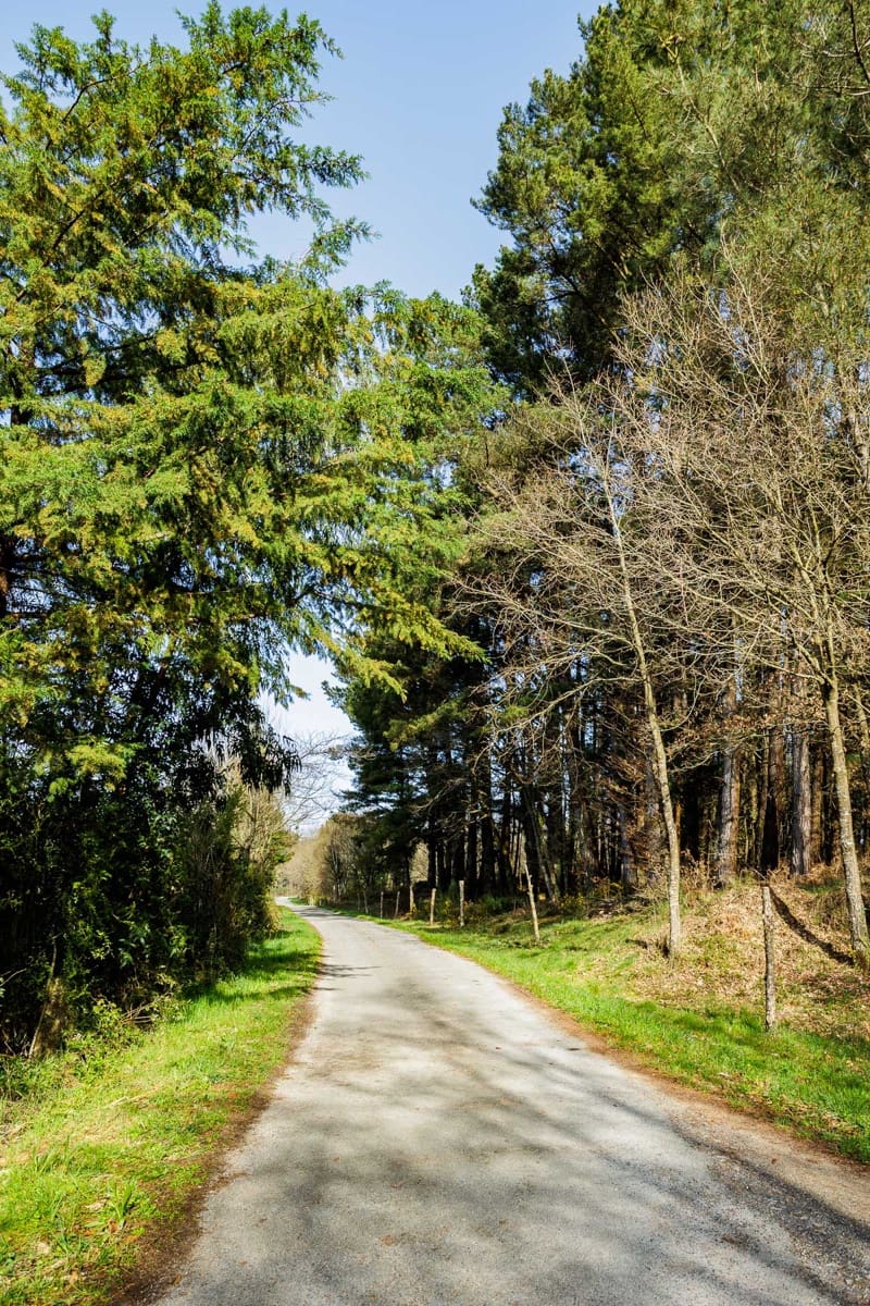 Grunde uden byggetilladelser til salg i Lugo by - € 599.999 (Ref: 8451335)