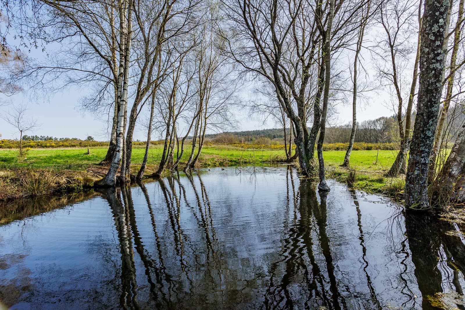 Grunde uden byggetilladelser til salg i Lugo by - € 599.999 (Ref: 8451335)