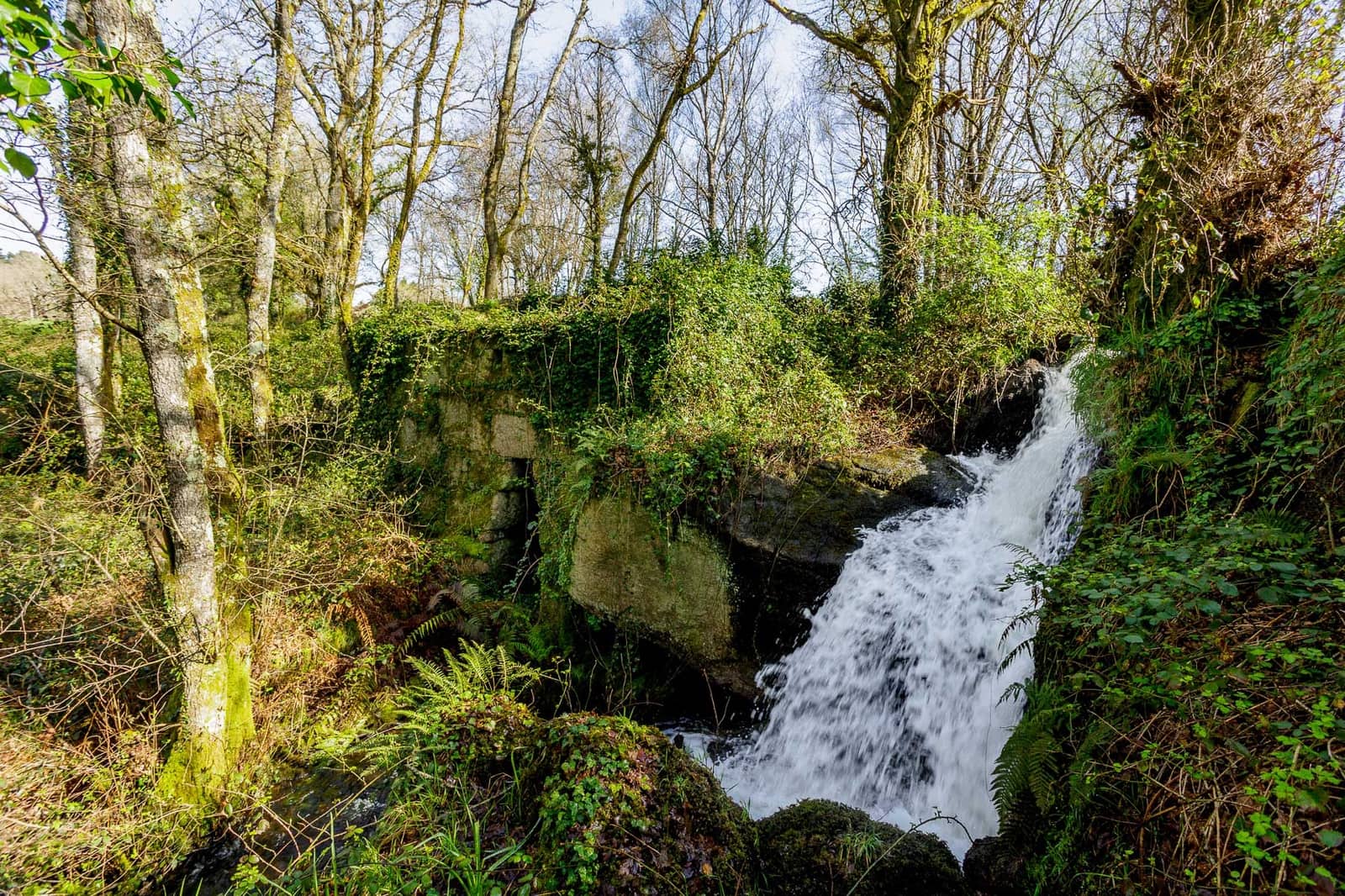 Grunde uden byggetilladelser til salg i Lugo by - € 599.999 (Ref: 8451335)