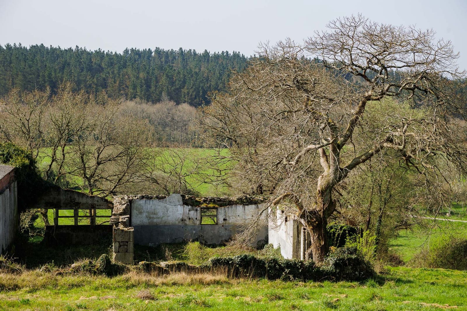 Grunde uden byggetilladelser til salg i Lugo by - € 599.999 (Ref: 8451335)