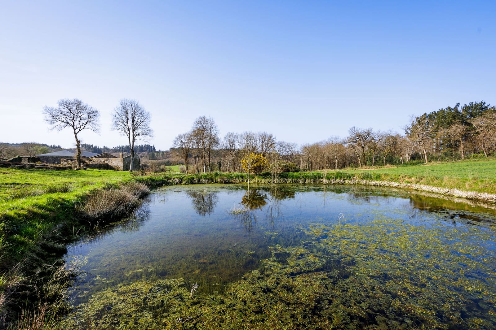 Grunde uden byggetilladelser til salg i Lugo by - € 599.999 (Ref: 8451335)