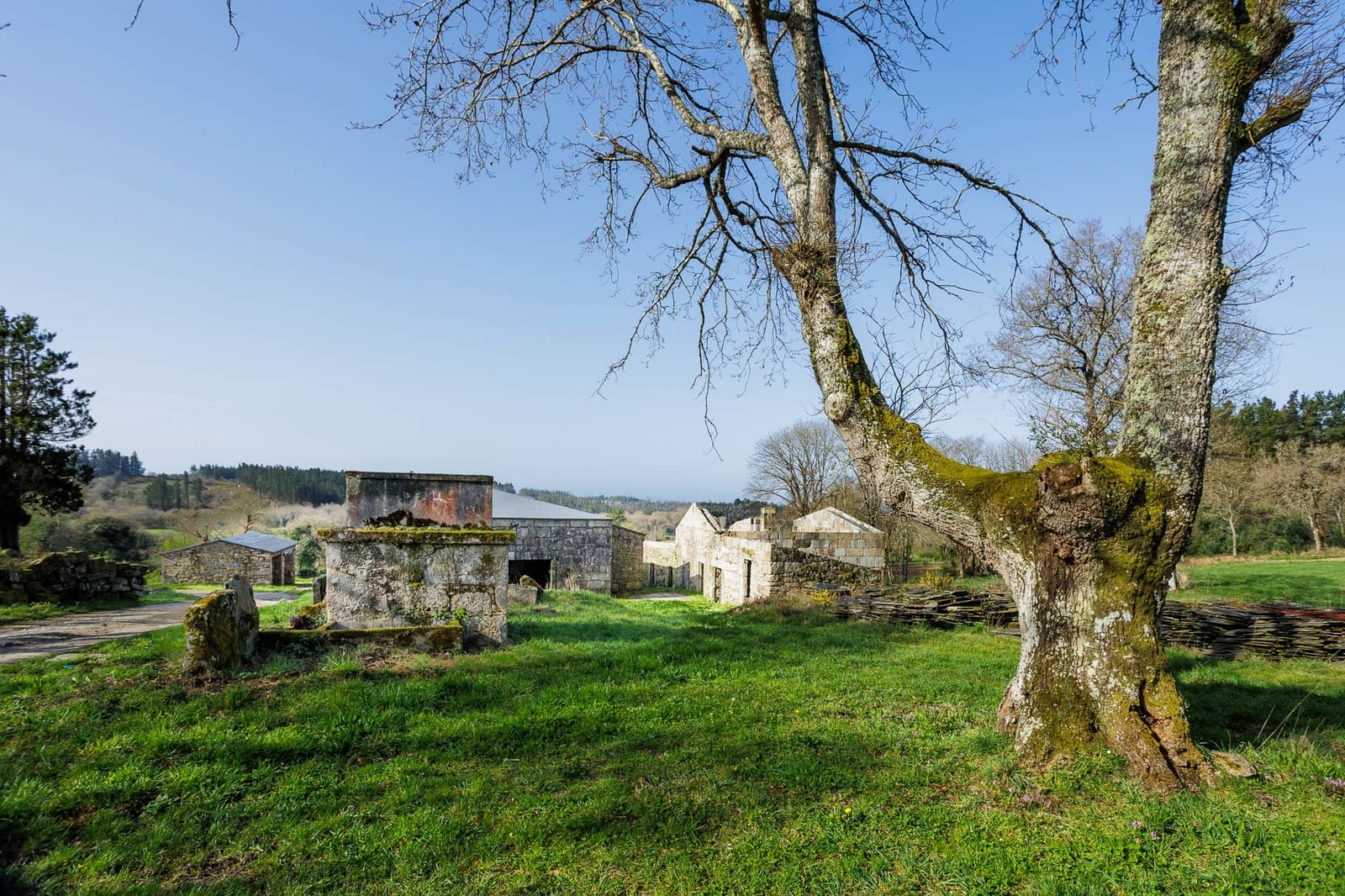 Grunde uden byggetilladelser til salg i Lugo by - € 599.999 (Ref: 8451335)