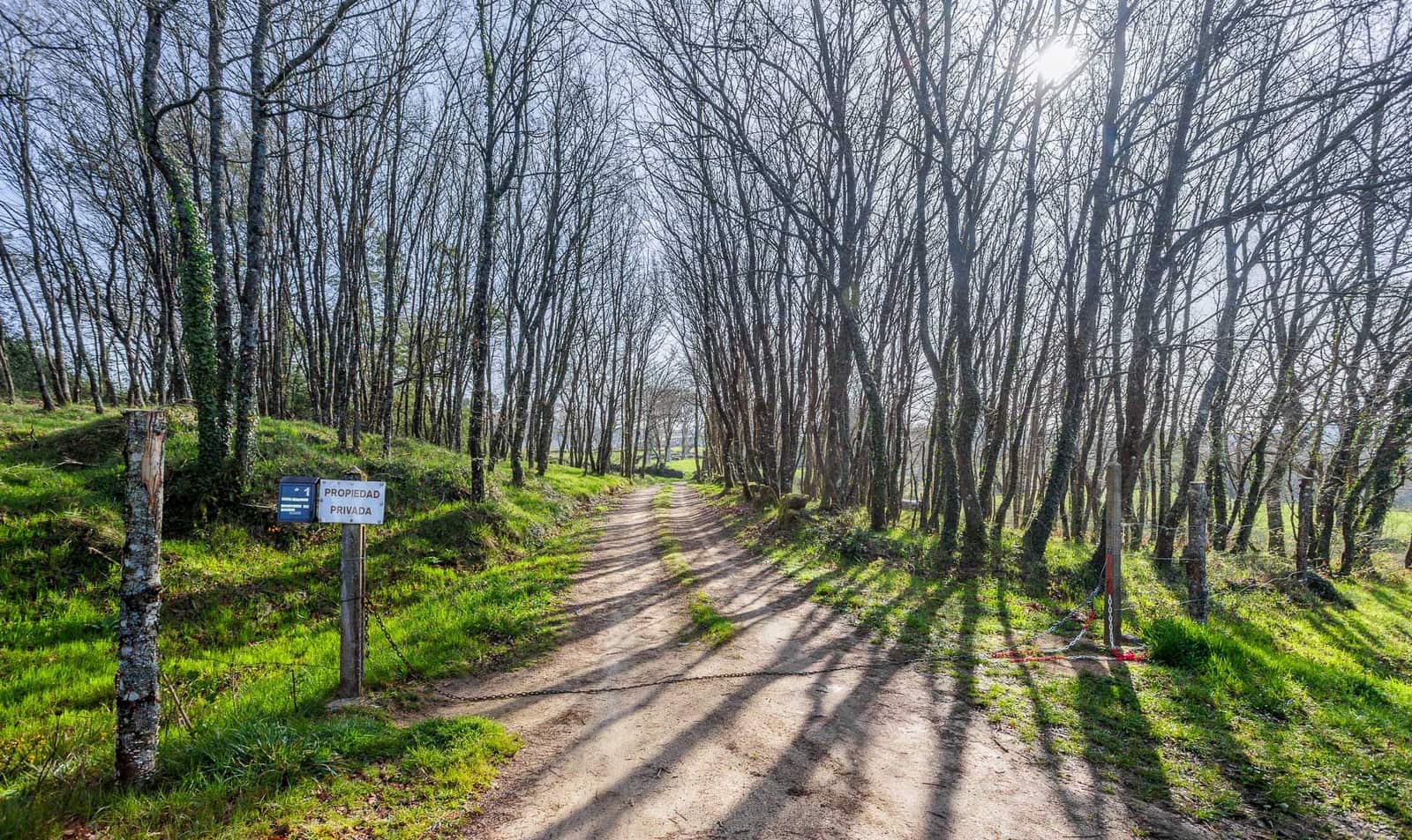 Grunde uden byggetilladelser til salg i Lugo by - € 599.999 (Ref: 8451335)