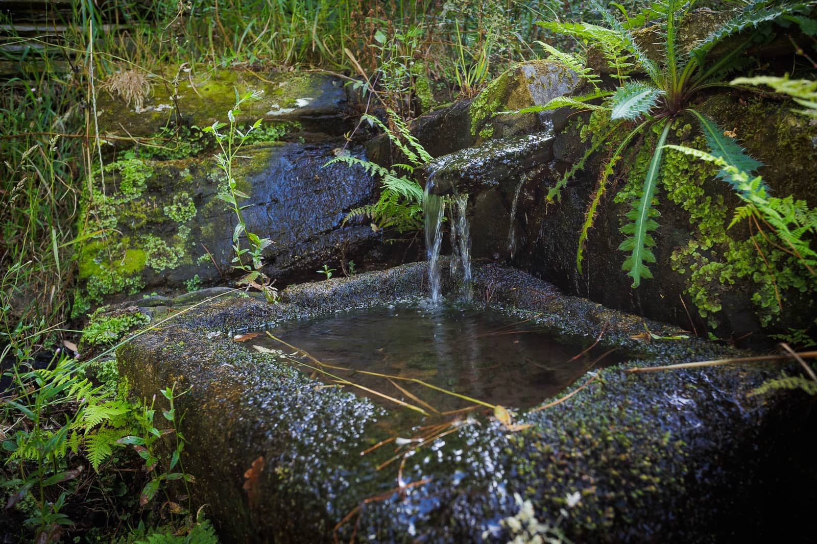 1 soveværelse Finca/Landehus til salg i Begonte - € 120.000 (Ref: 8508751)