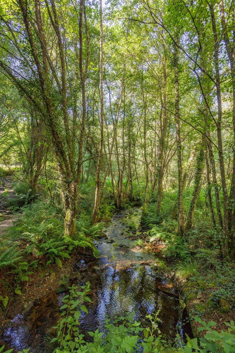 1 chambre Finca/Maison de Campagne à vendre à Begonte - 120 000 € (Ref: 8508751)