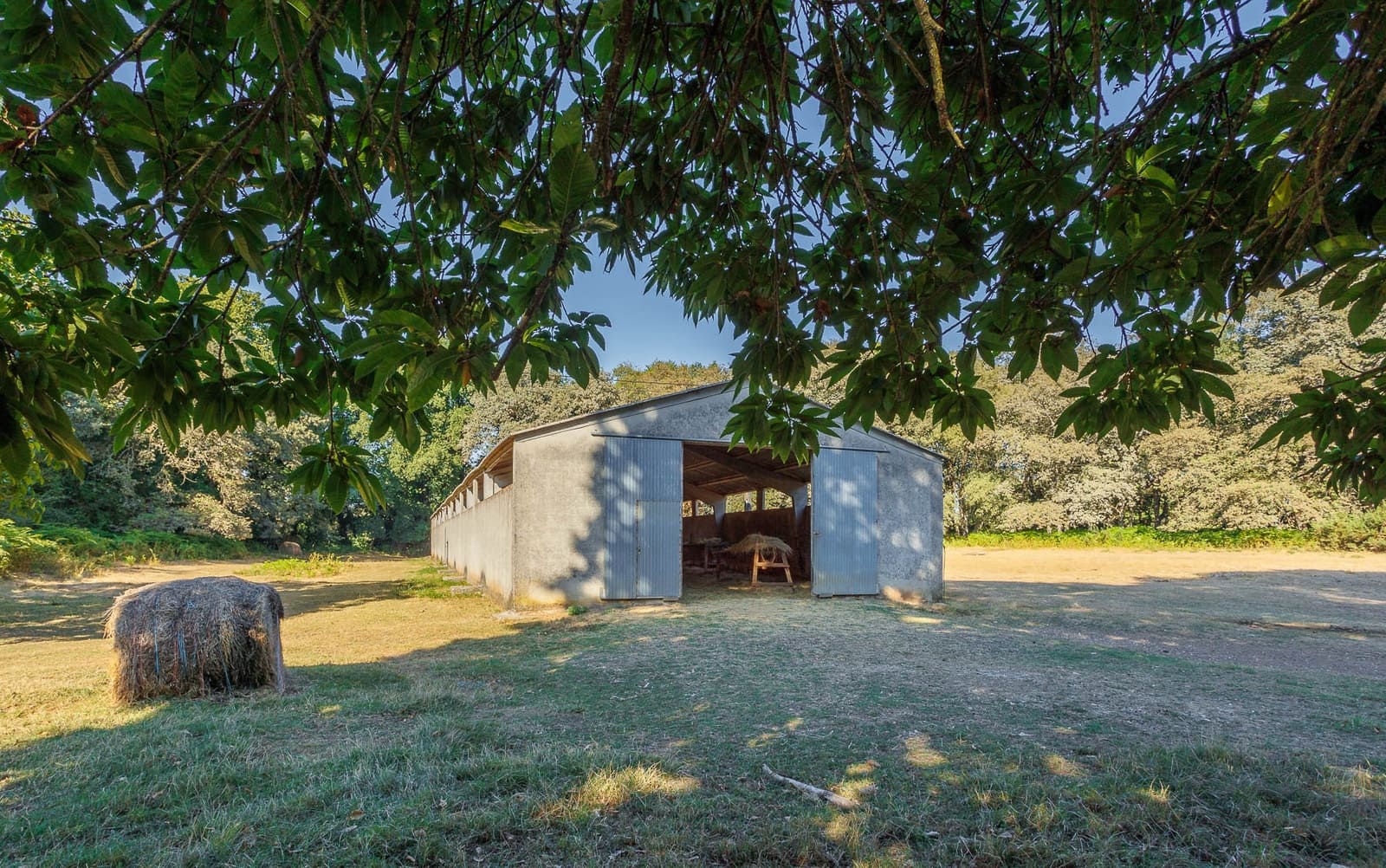 6 chambre Finca/Maison de Campagne à vendre à Outeiro de Rei - 2 500 000 € (Ref: 8630164)