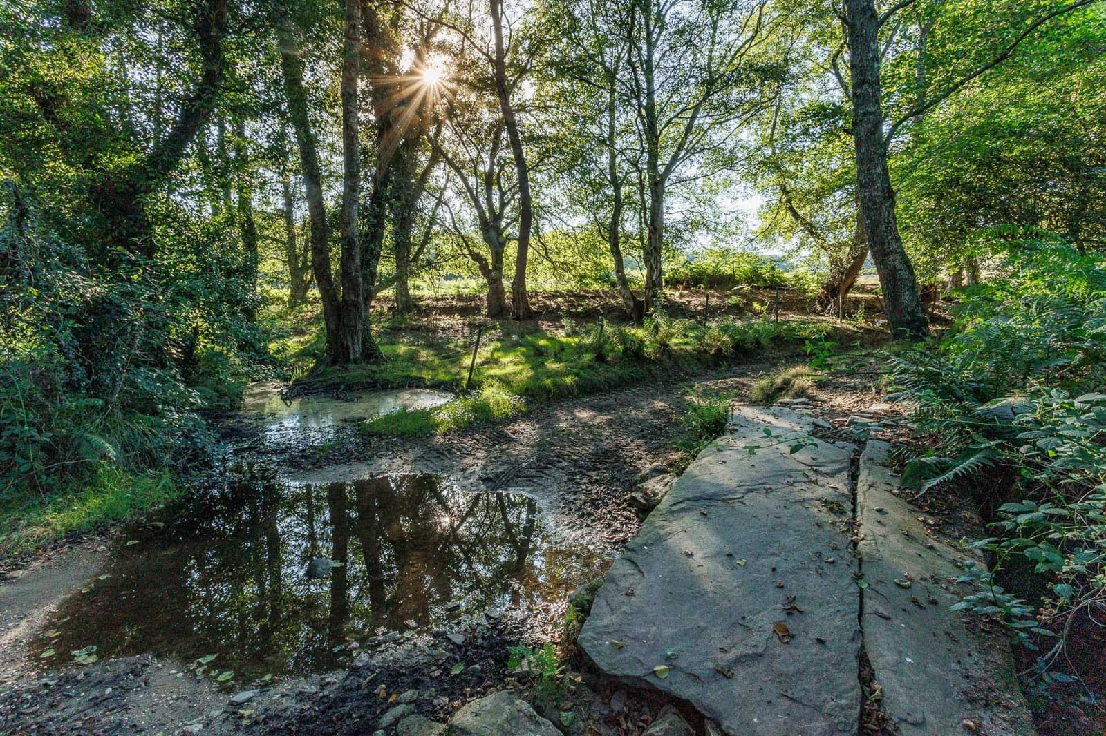 6 chambre Finca/Maison de Campagne à vendre à Outeiro de Rei - 2 500 000 € (Ref: 8630164)