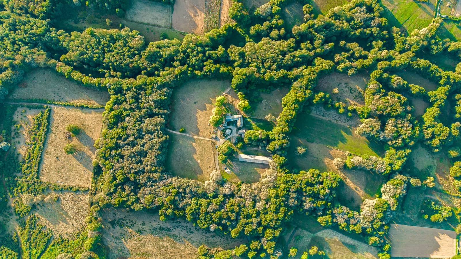 6 chambre Finca/Maison de Campagne à vendre à Outeiro de Rei - 2 500 000 € (Ref: 8630164)
