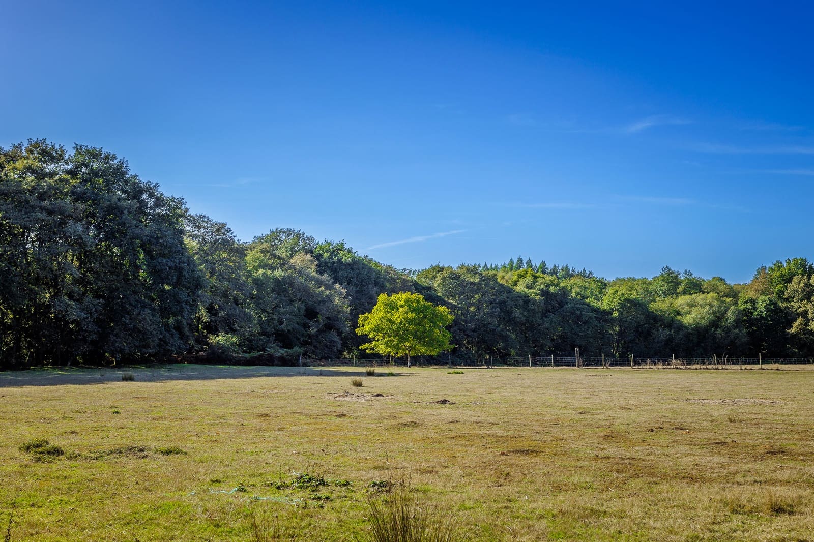 6 chambre Finca/Maison de Campagne à vendre à Outeiro de Rei - 2 500 000 € (Ref: 8630164)