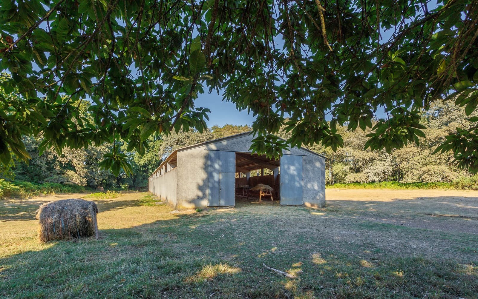 6 soverom Finca/Herregård til salgs i Outeiro de Rei - € 2 500 000 (Ref: 8630164)