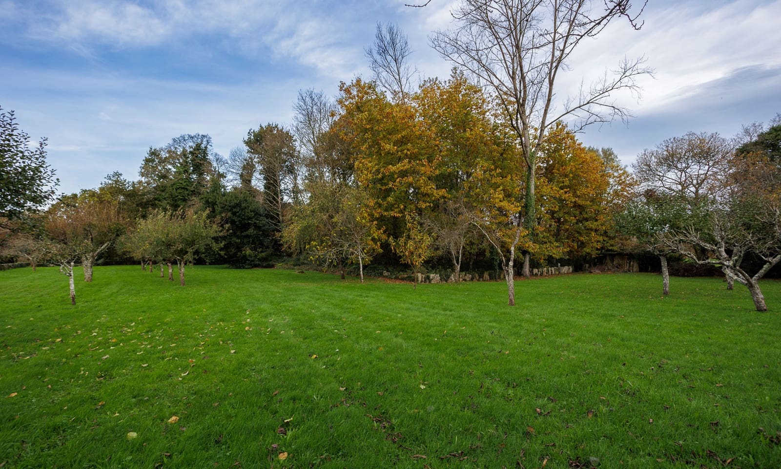8 sovrum Finca/Hus på landet till salu i Cospeito med garage - 190 000 € (Ref: 8737361)