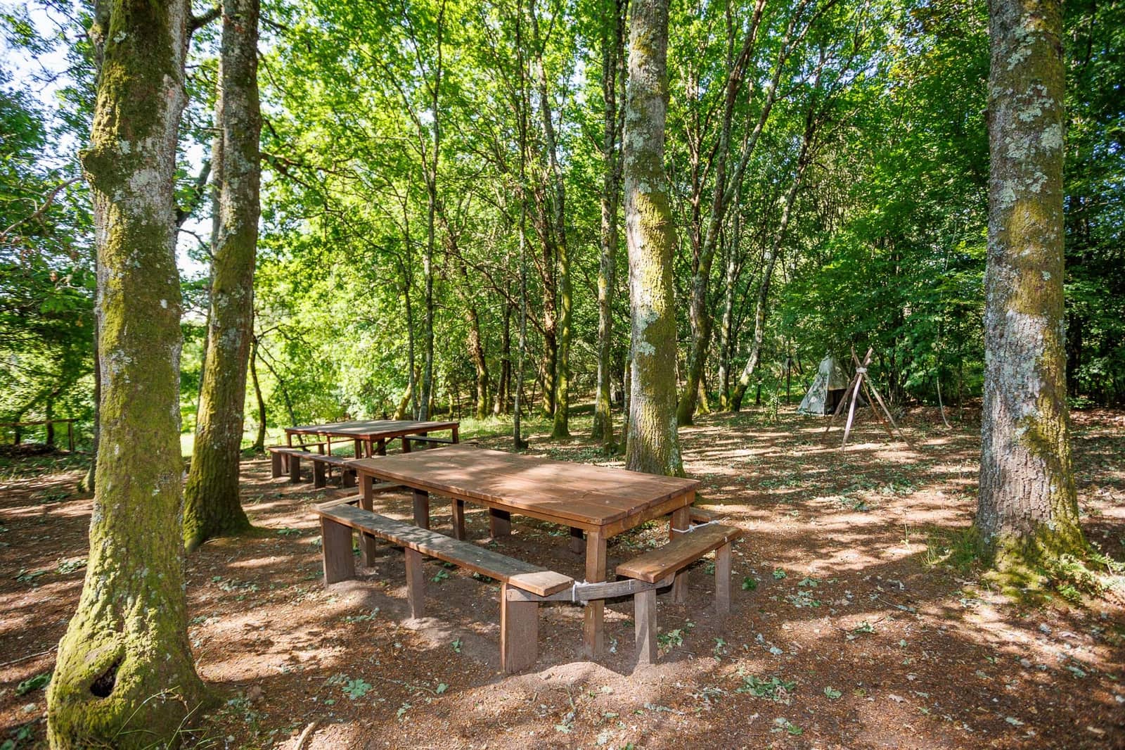 4 soveværelse Virksomhed til salg i Coles med swimmingpool - € 390.000 (Ref: 8781317)