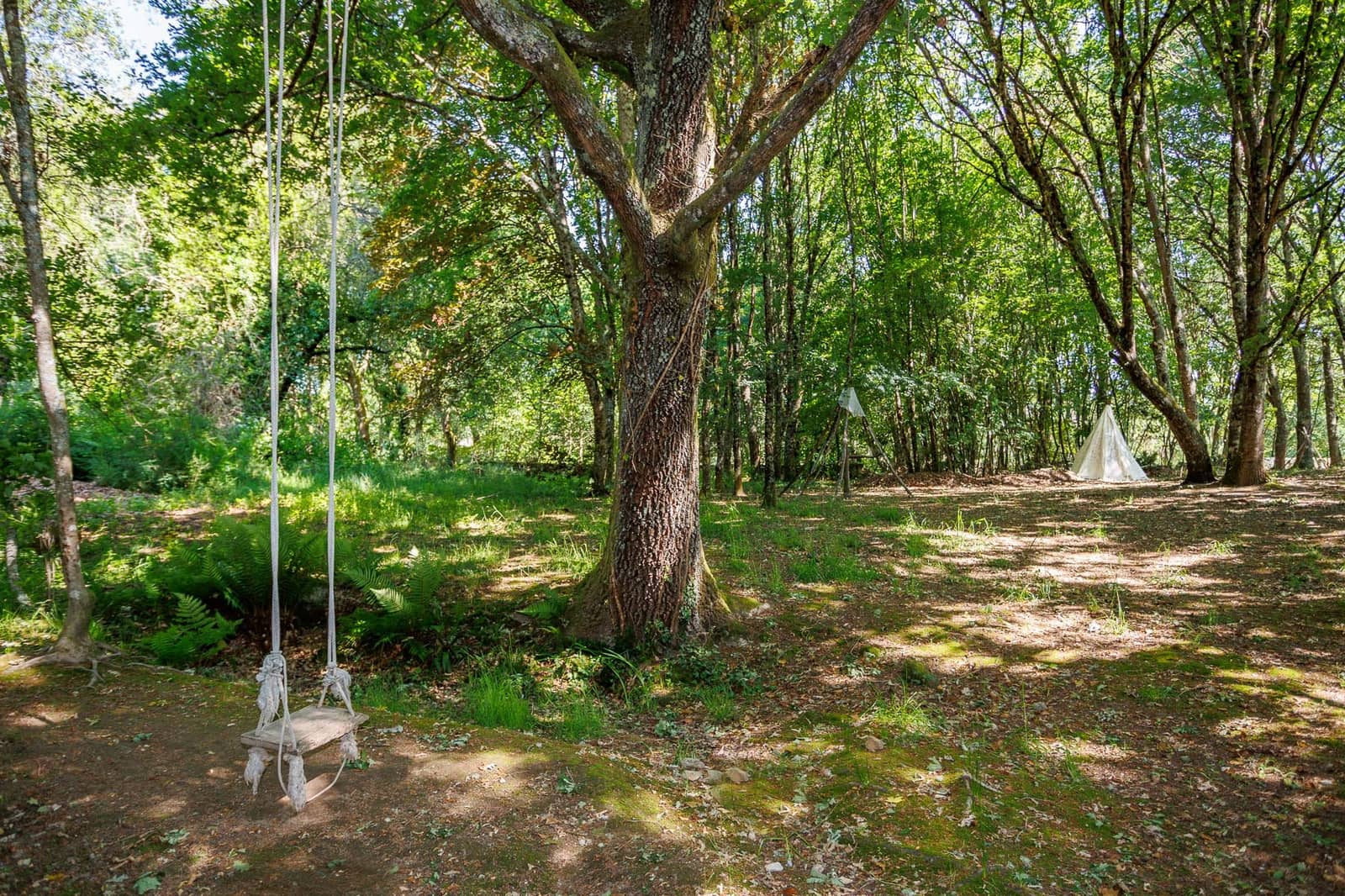 4 soveværelse Virksomhed til salg i Coles med swimmingpool - € 390.000 (Ref: 8781317)