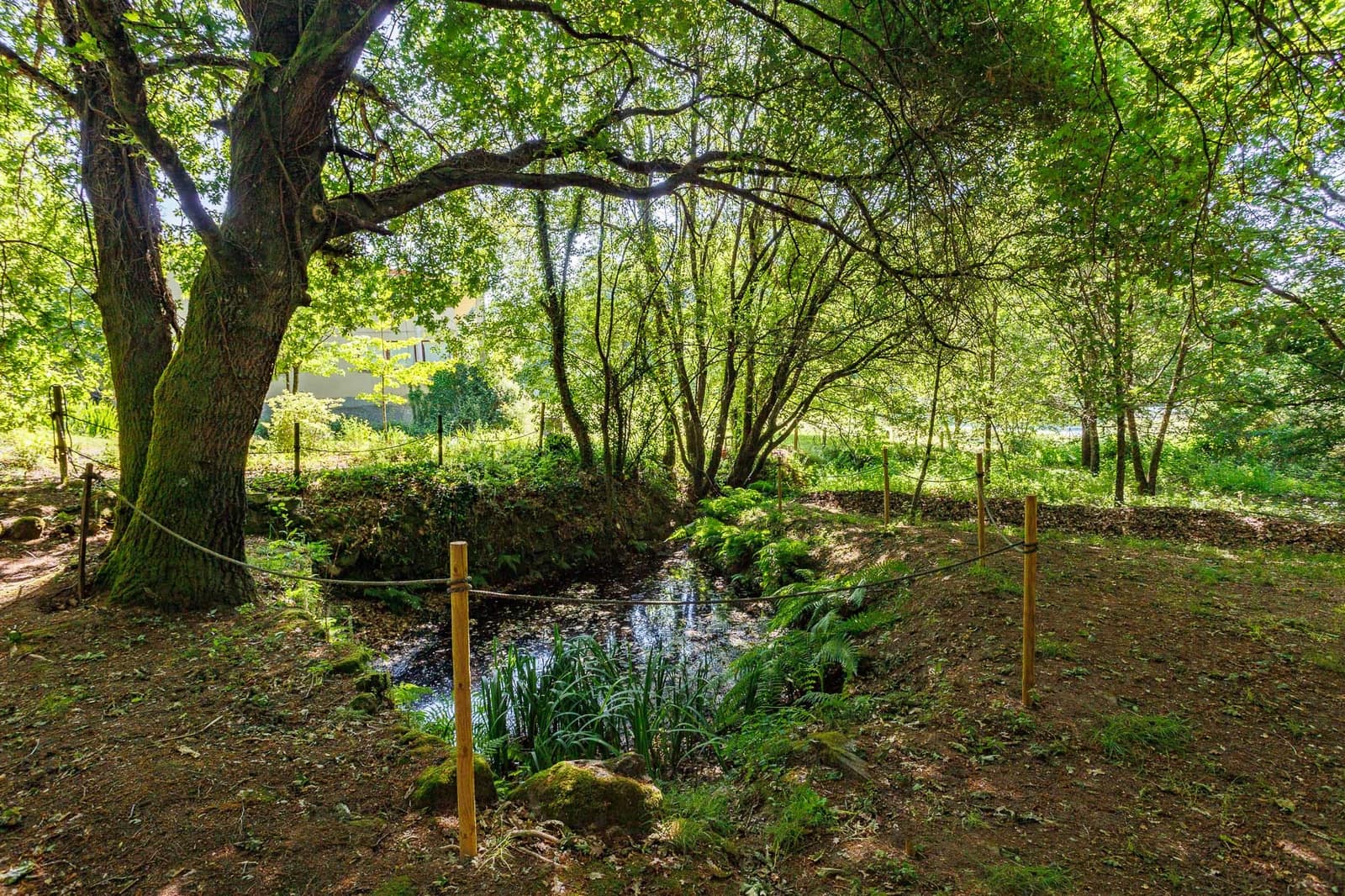 4 soveværelse Virksomhed til salg i Coles med swimmingpool - € 390.000 (Ref: 8781317)