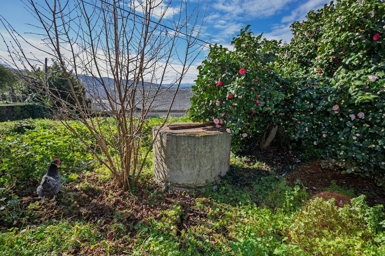 1 slaapkamer Finca/Landhuis te koop in A Rua - € 115.000 (Ref: 8881270)