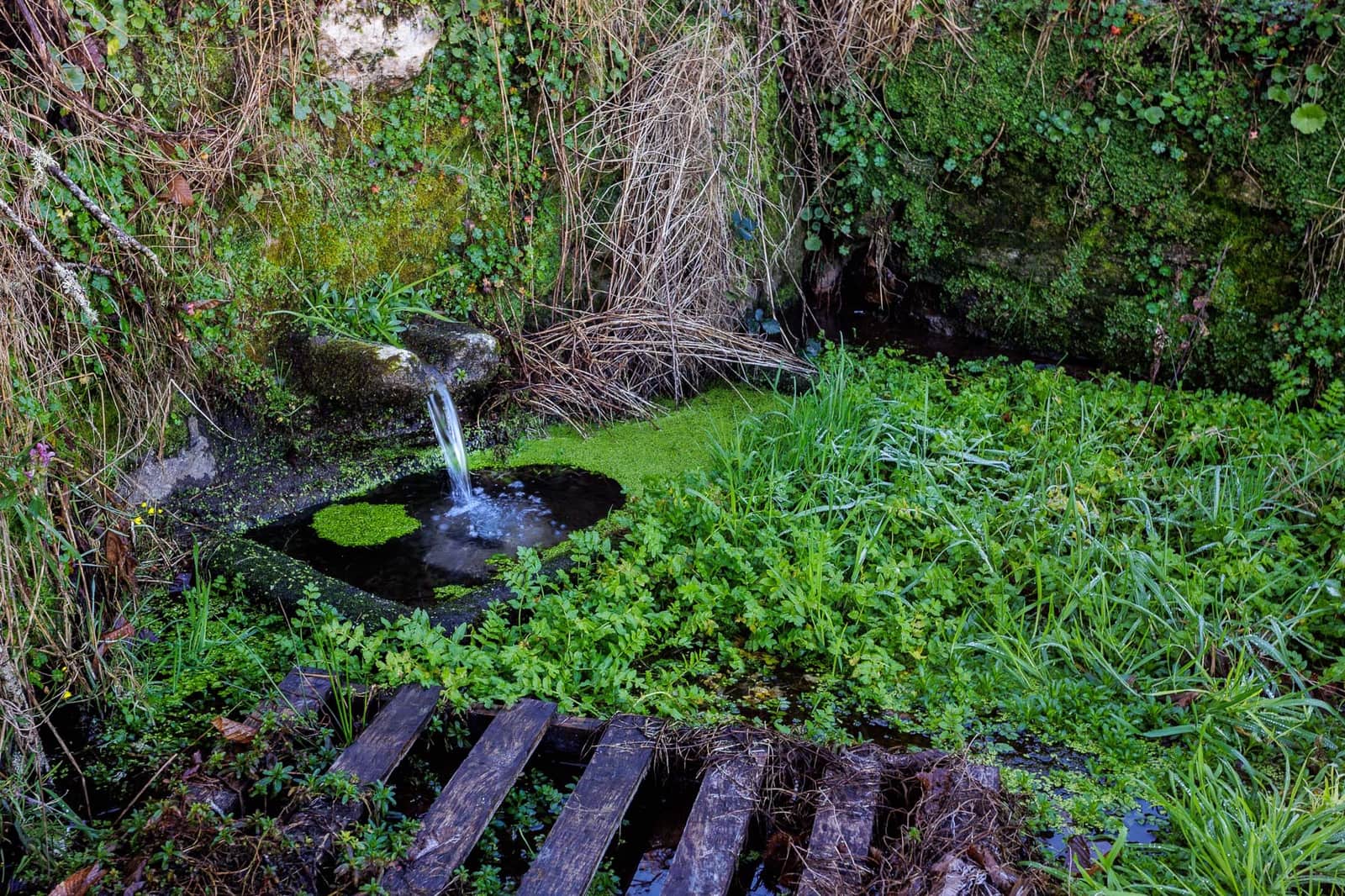 1 slaapkamer Finca/Landhuis te koop in Antas de Ulla - € 75.000 (Ref: 8882165)