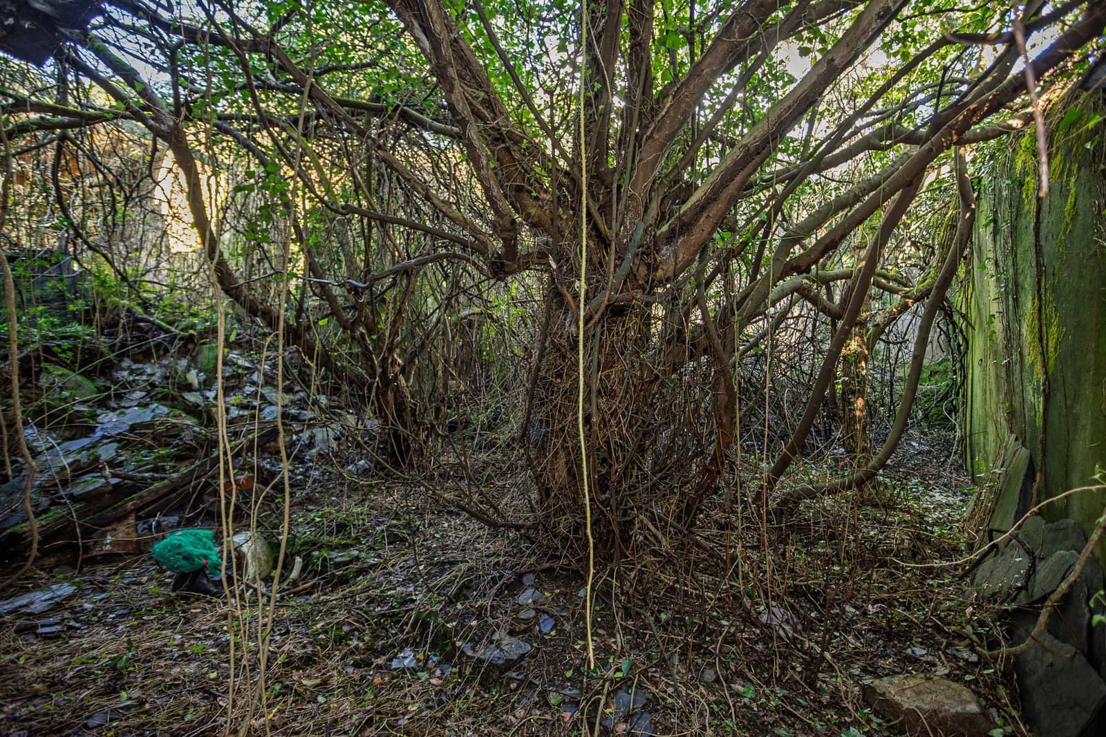 10 bedroom Finca/Country House for sale in Trabada - € 75,000 (Ref: 8882166)