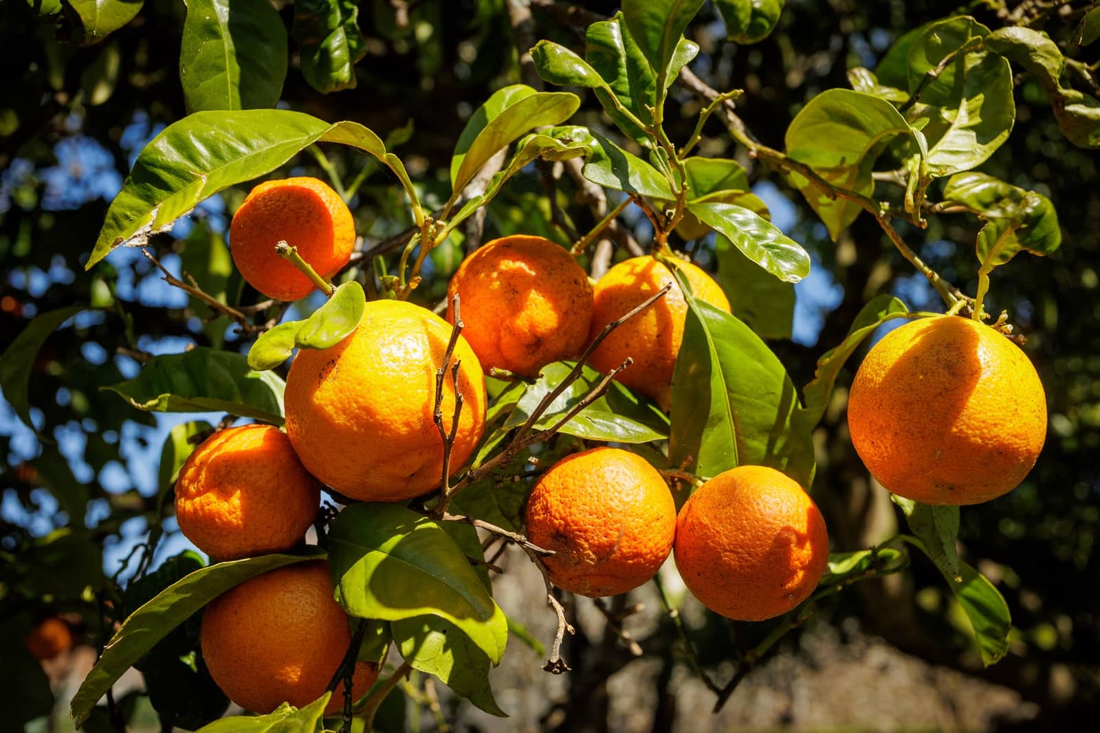 3 bedroom Finca/Country House for sale in Outes - € 349,000 (Ref: 8936005)