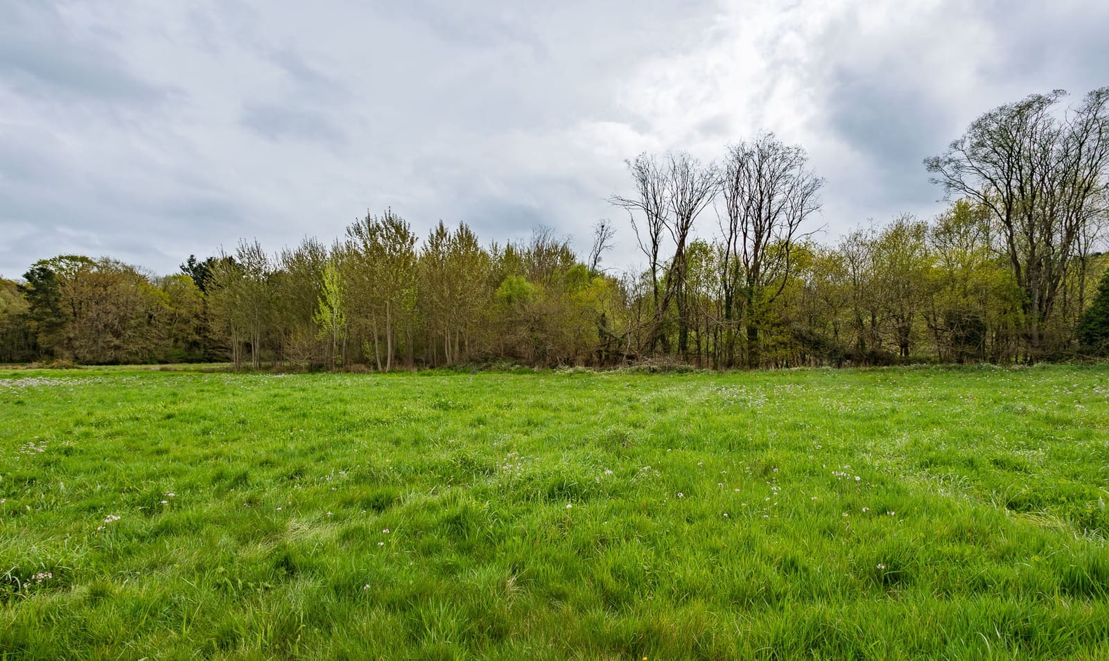 3 soveværelse Finca/Landehus til salg i Outeiro de Rei - € 60.000 (Ref: 8953143)