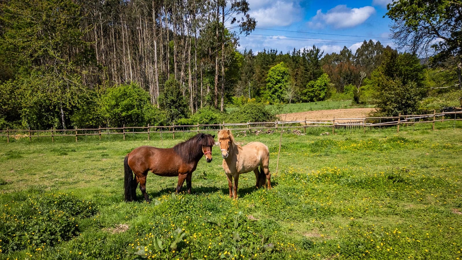 3 soveværelse Finca/Landehus til salg i Pol - € 179.000 (Ref: 9006587)