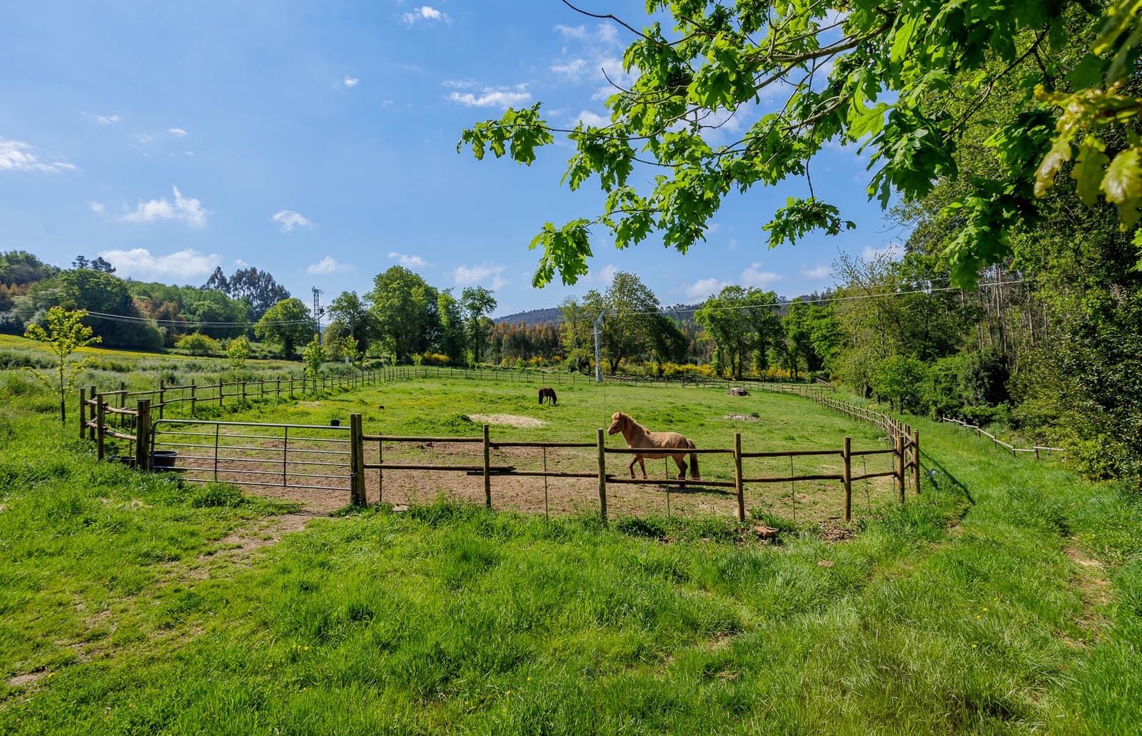 3 soveværelse Finca/Landehus til salg i Pol - € 179.000 (Ref: 9006587)
