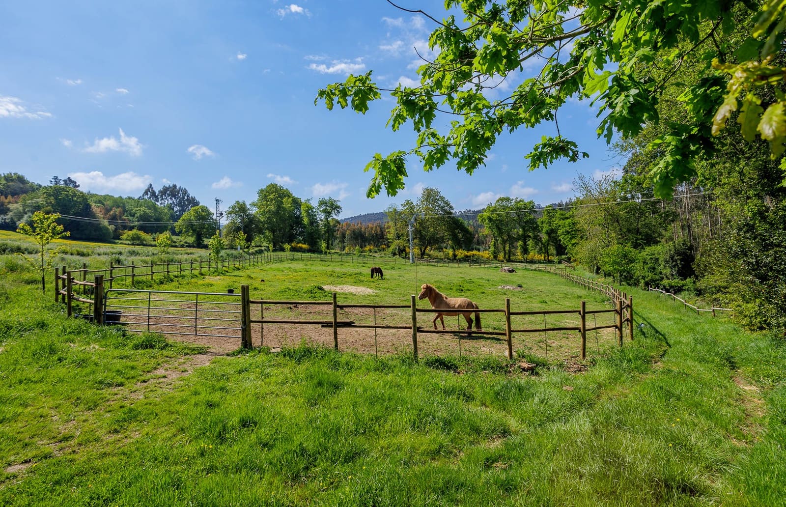 3 soverom Finca/Herregård til salgs i Pol - € 145 000 (Ref: 9006587)