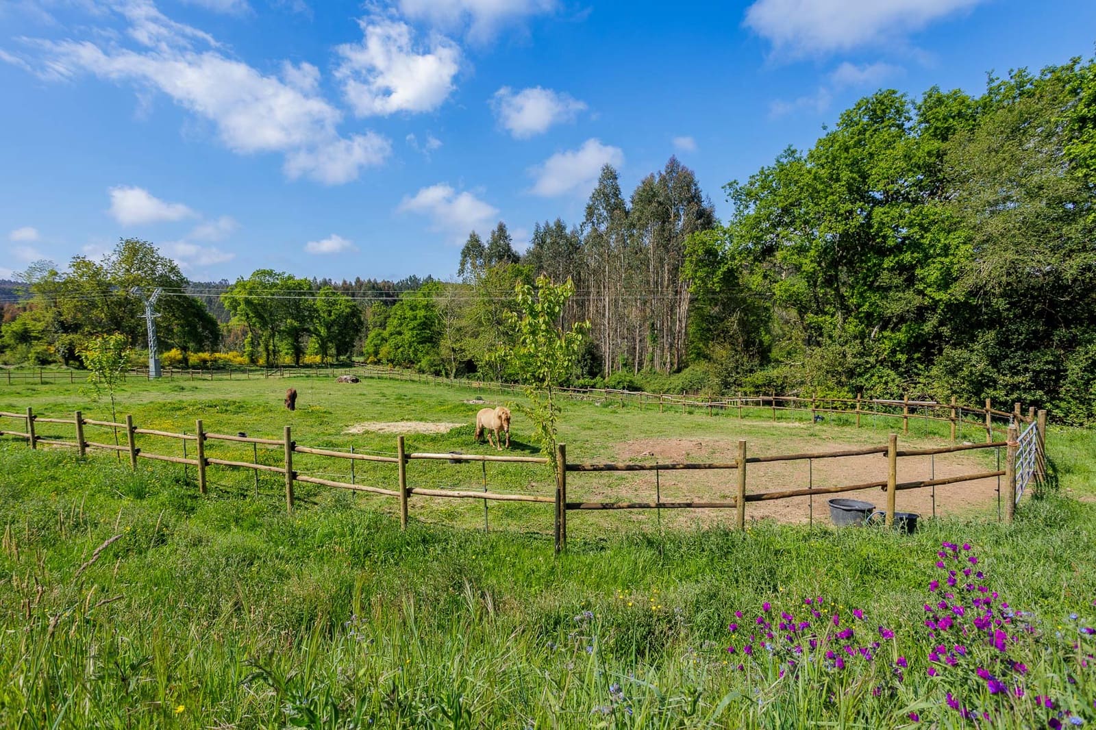 3 soverom Finca/Herregård til salgs i Pol - € 145 000 (Ref: 9006587)