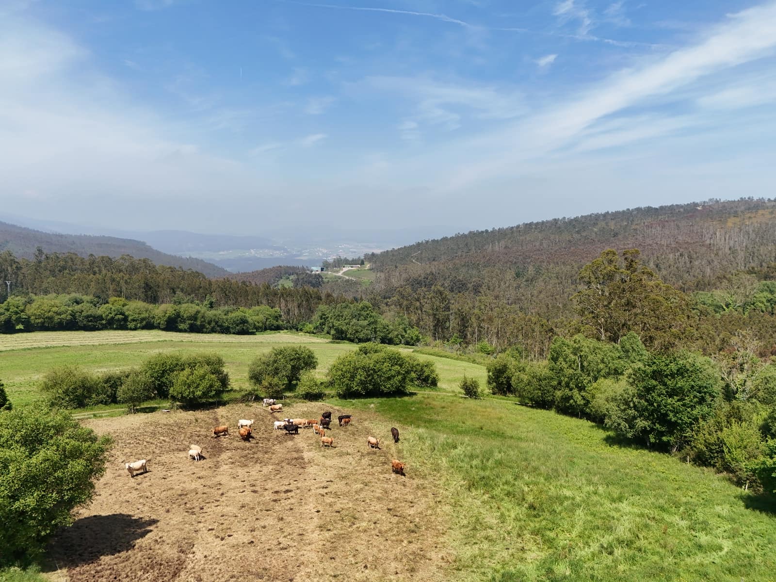 2 soveværelse Finca/Landehus til salg i Barreiros - € 195.000 (Ref: 9015654)