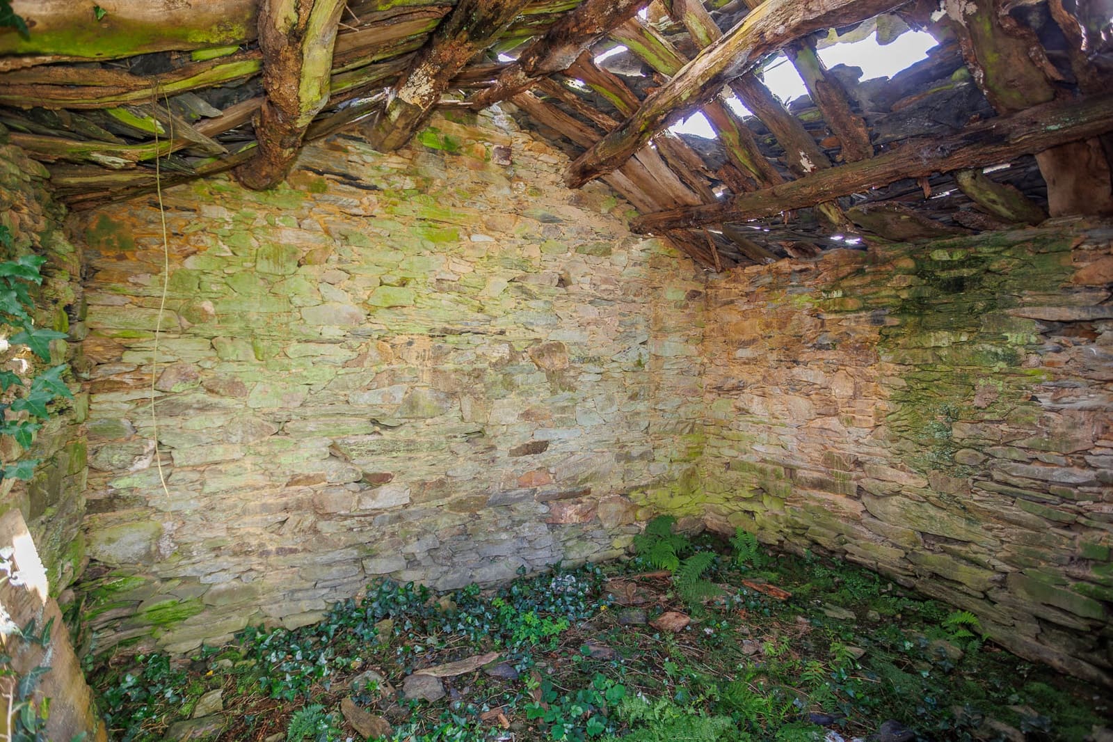 1 chambre Finca/Maison de Campagne à vendre à A Pastoriza - 50 000 € (Ref: 9025397)