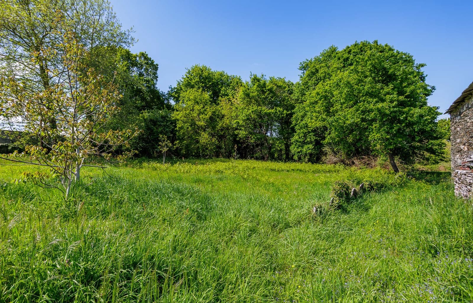 6 chambre Finca/Maison de Campagne à vendre à Outeiro de Rei - 195 000 € (Ref: 9027246)