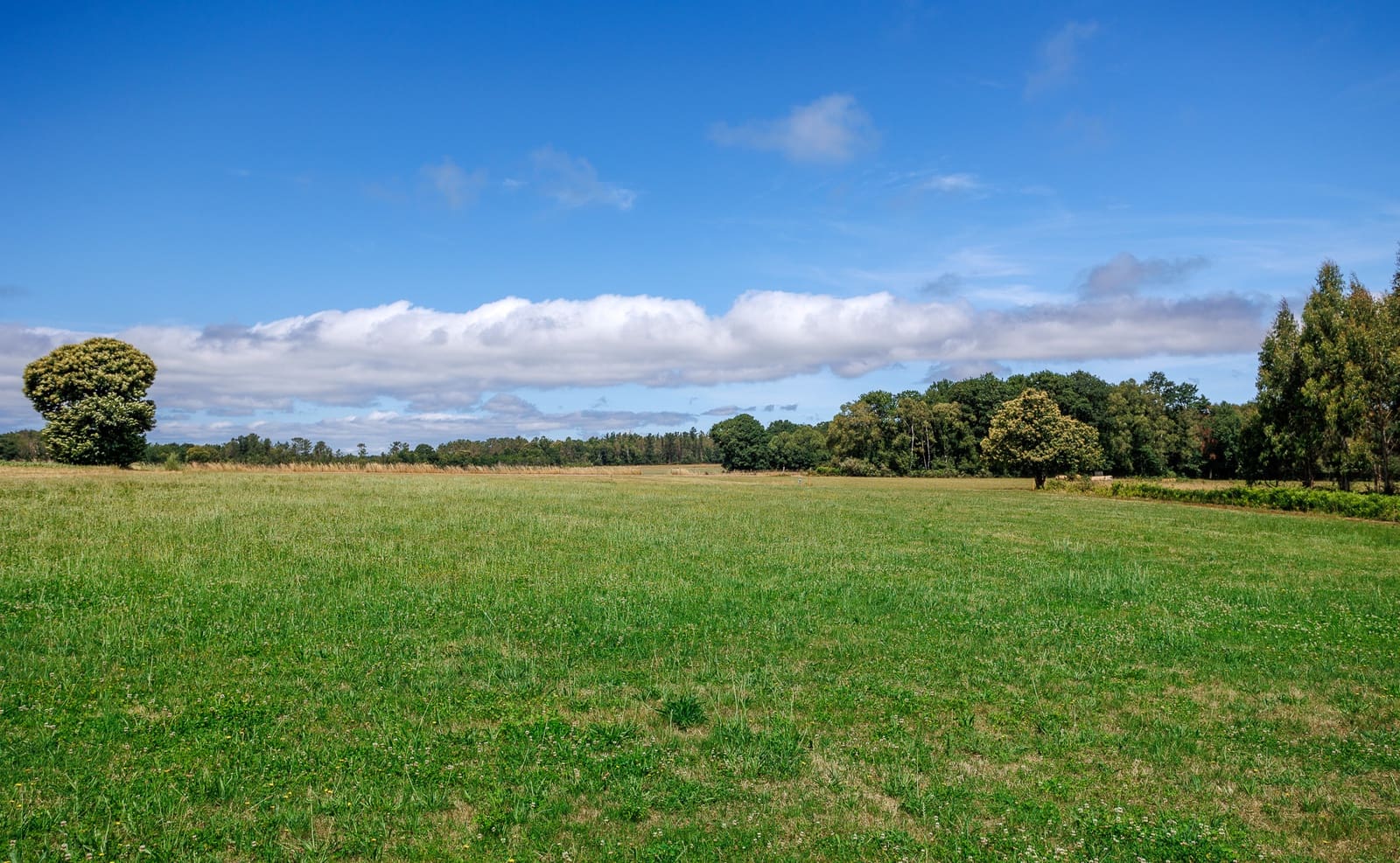 3 sovrum Finca/Hus på landet till salu i Vilalba - 370 000 € (Ref: 9057995)