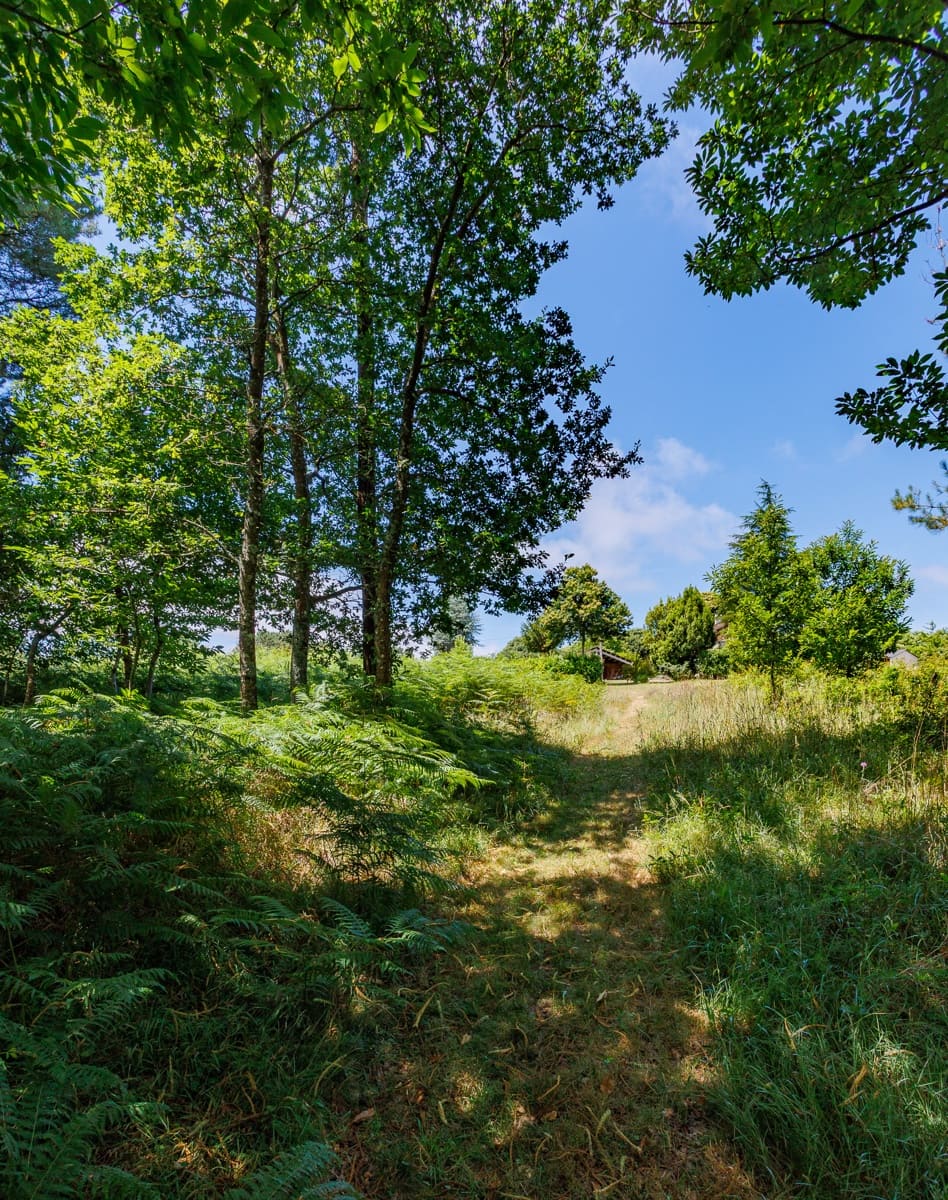 3 sovrum Finca/Hus på landet till salu i Vilalba - 370 000 € (Ref: 9057995)