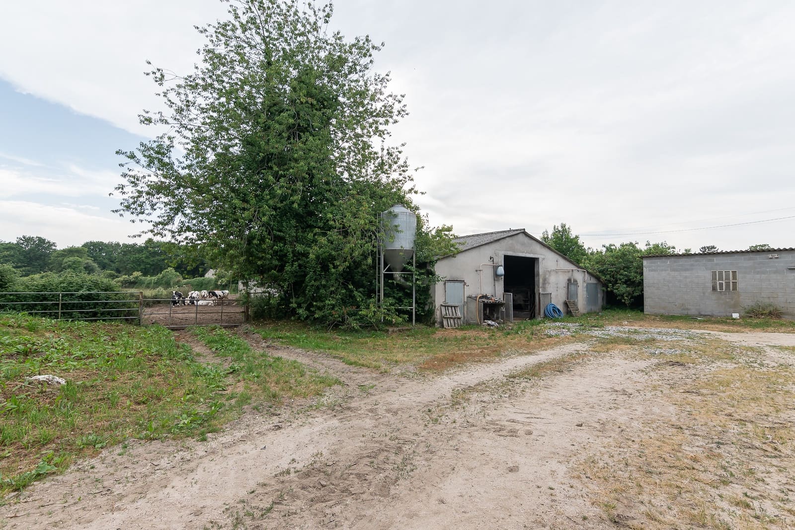 7 sypialnia Finka/Dom wiejski na sprzedaż w Castroverde - 420 000 € (Ref: 9074104)