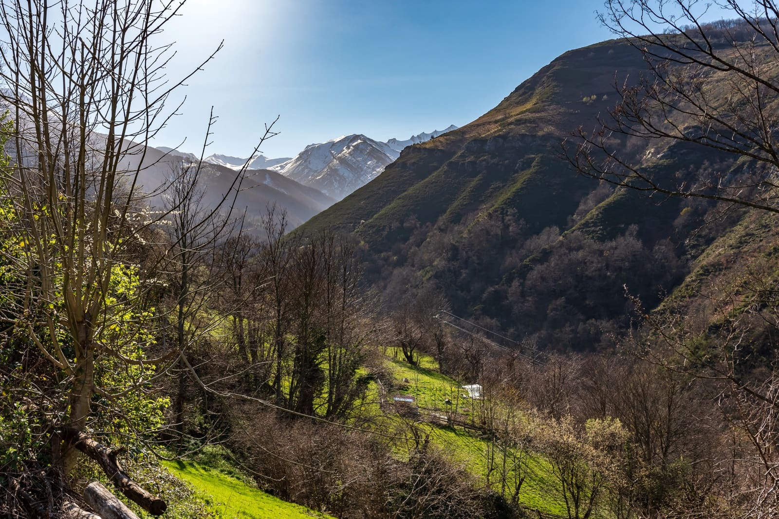 8 sovrum Företag till salu i Aller - 299 000 € (Ref: 9074521)