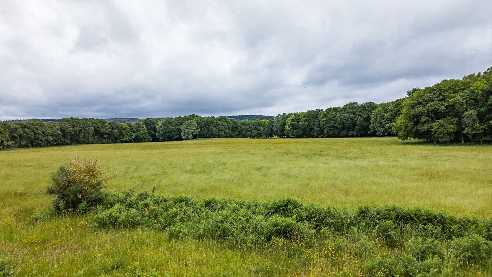 1 camera da letto Finca/Casa di Campagna in vendita in Friol - 2.000.000 € (Rif: 9092187)