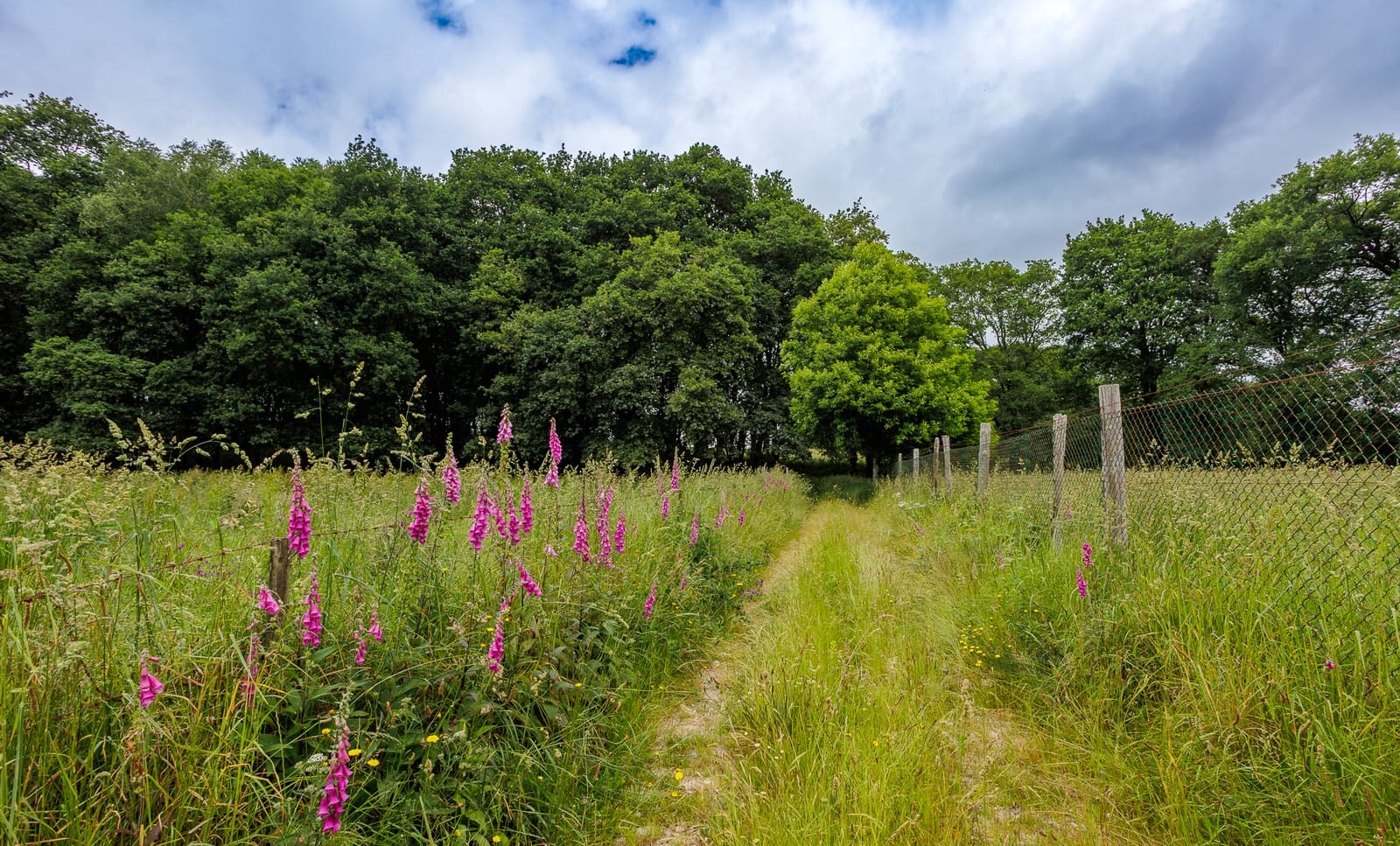 1 camera da letto Finca/Casa di Campagna in vendita in Friol - 2.000.000 € (Rif: 9092187)