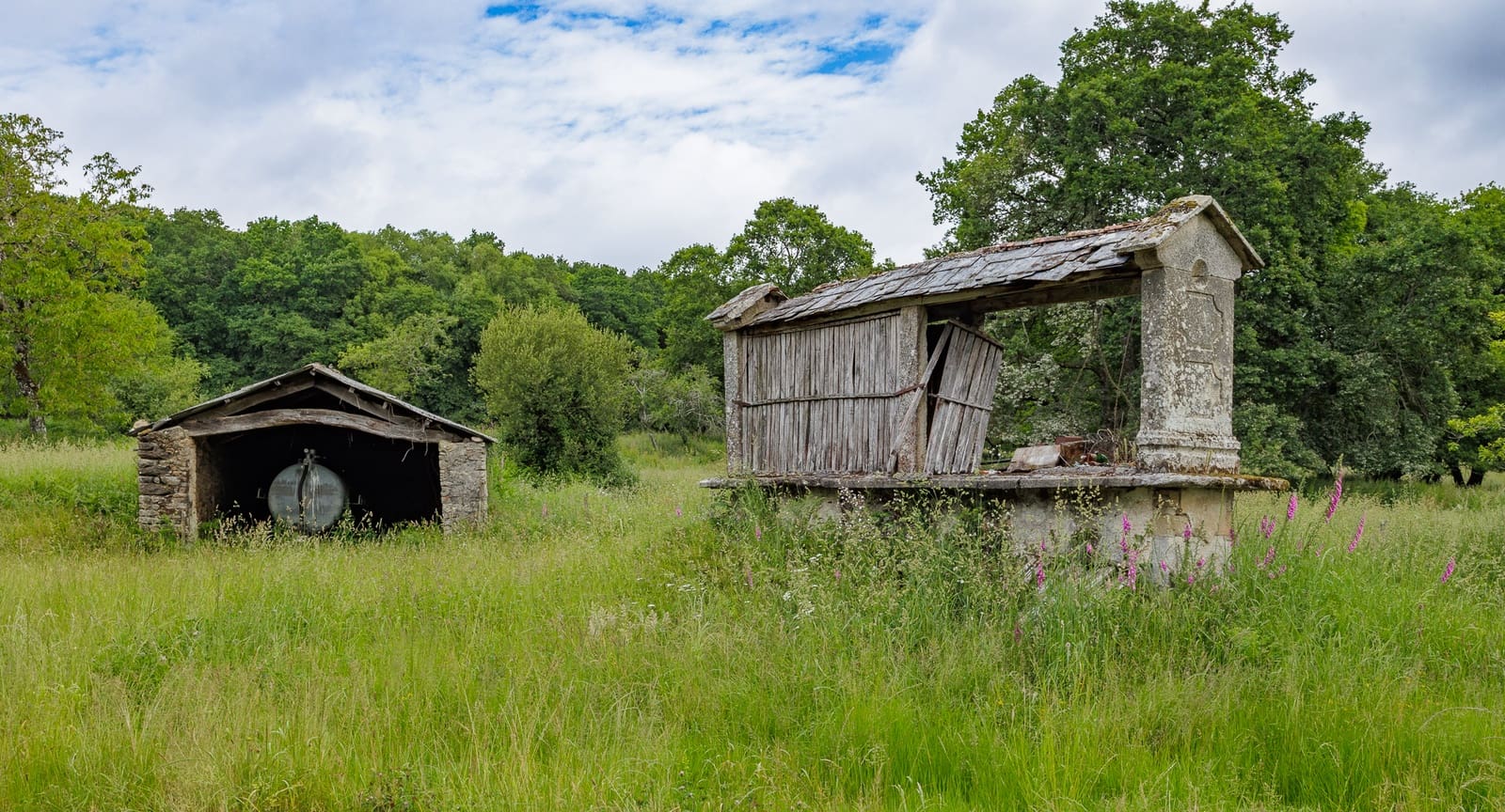 1 camera da letto Finca/Casa di Campagna in vendita in Friol - 2.000.000 € (Rif: 9092187)