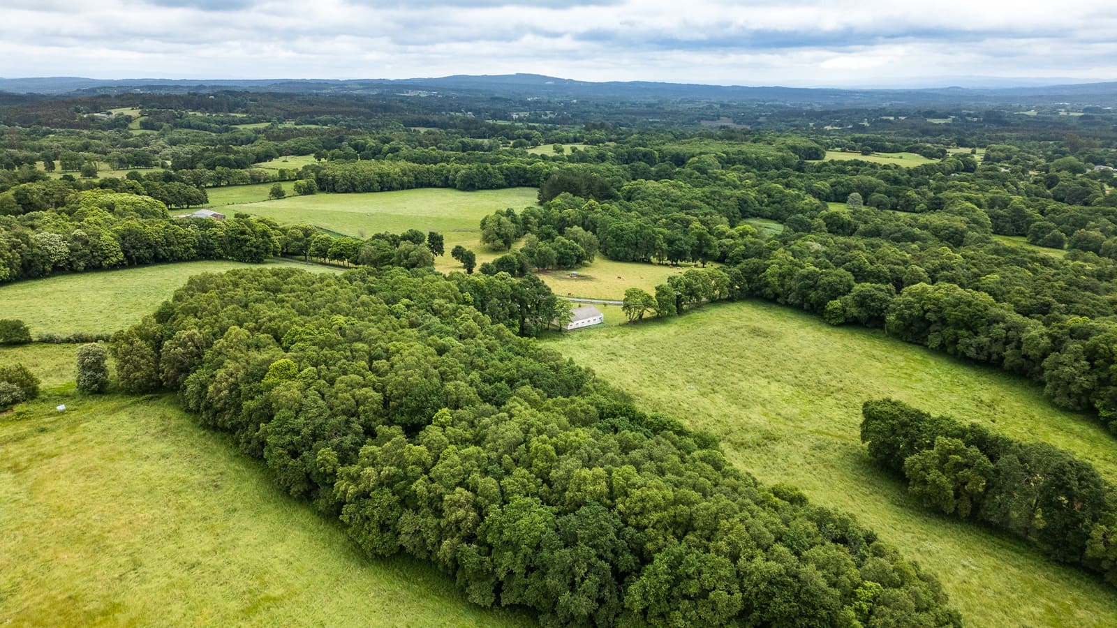 1 camera da letto Finca/Casa di Campagna in vendita in Friol - 2.000.000 € (Rif: 9092187)