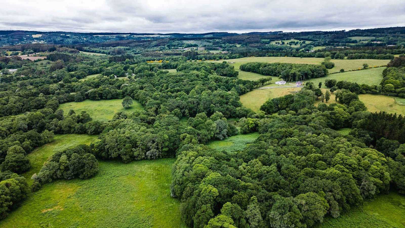 1 camera da letto Finca/Casa di Campagna in vendita in Friol - 2.000.000 € (Rif: 9092187)