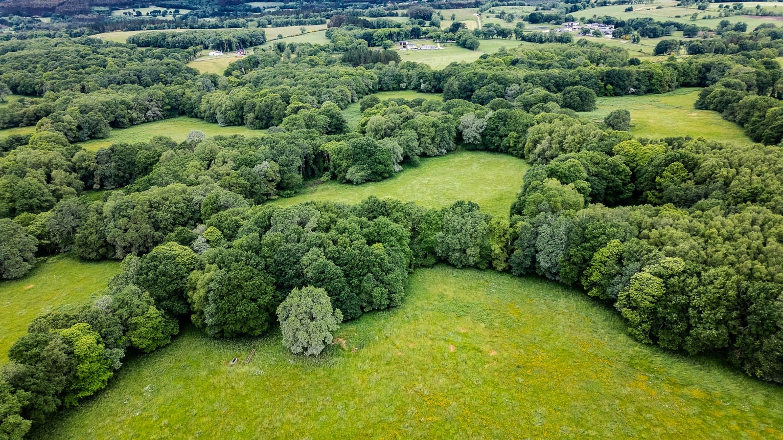 1 camera da letto Finca/Casa di Campagna in vendita in Friol - 2.000.000 € (Rif: 9092187)