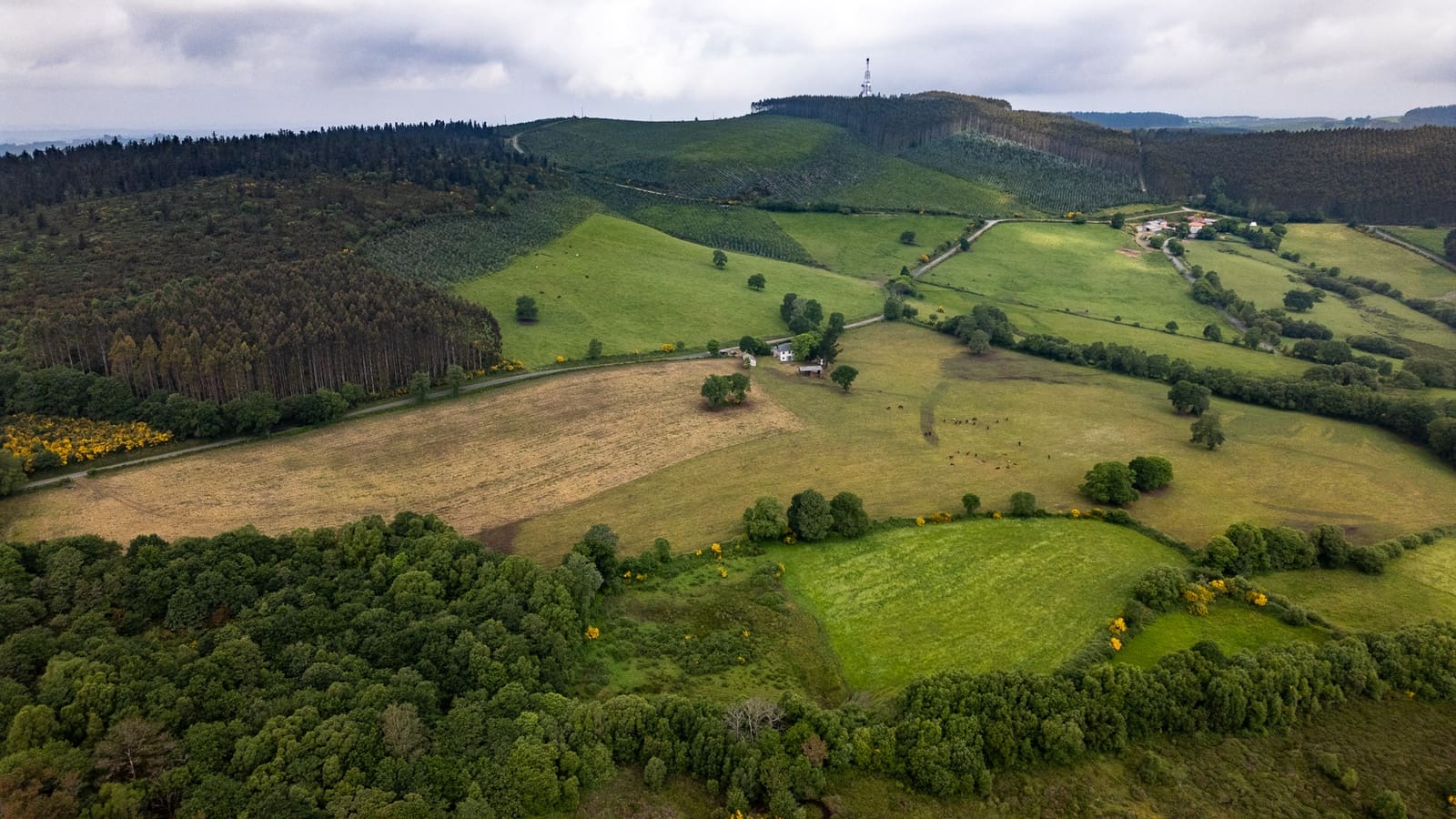 3 soveværelse Finca/Landehus til salg i Friol - € 235.000 (Ref: 9103182)