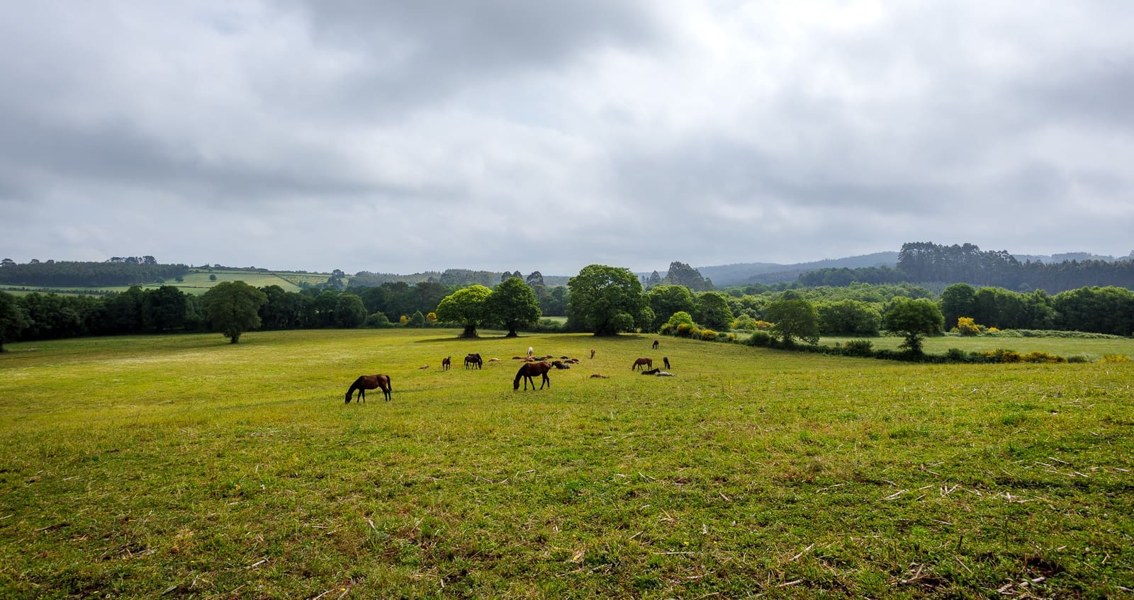 3 soveværelse Finca/Landehus til salg i Friol - € 235.000 (Ref: 9103182)