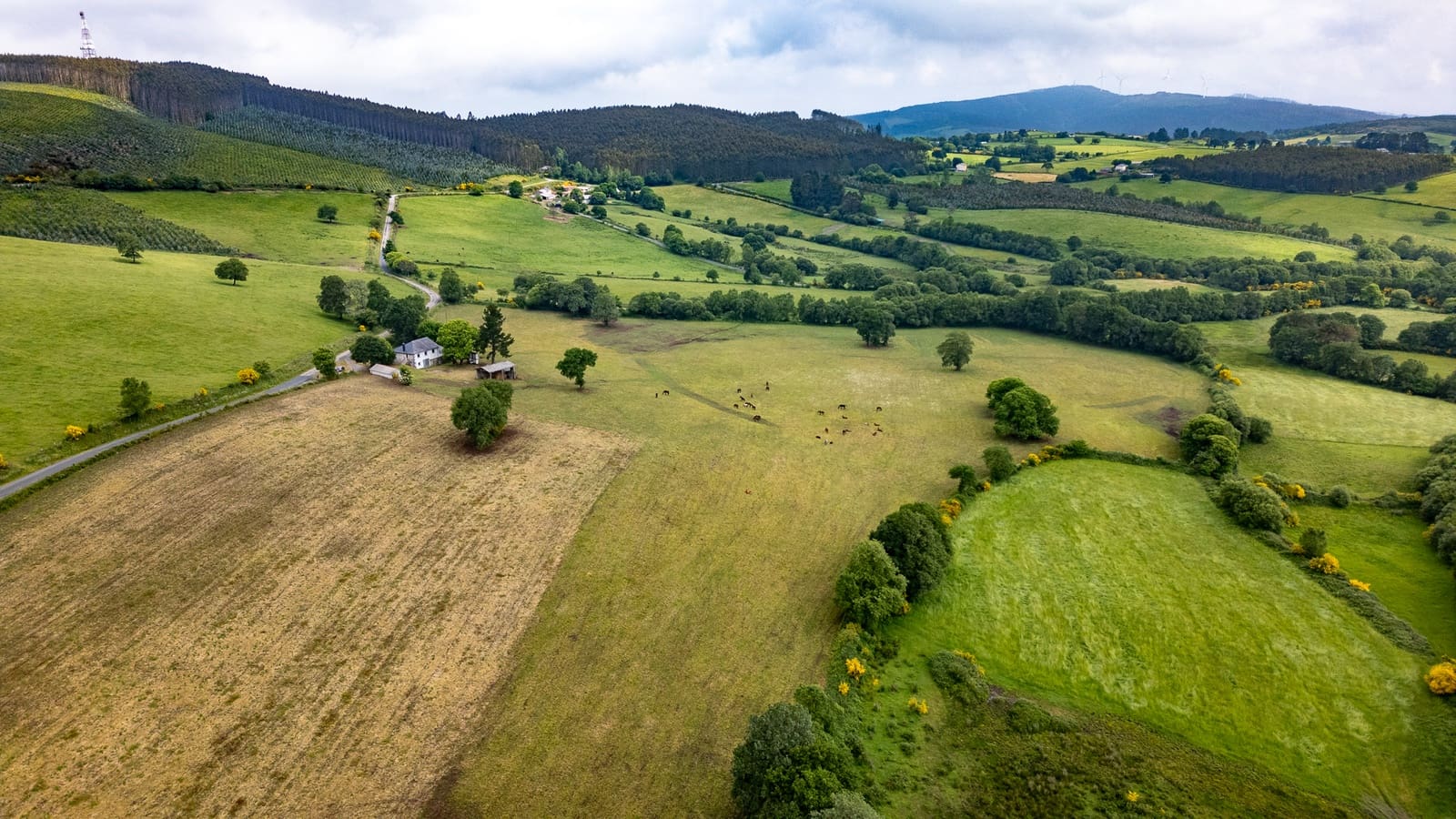 3 soveværelse Finca/Landehus til salg i Friol - € 235.000 (Ref: 9103182)