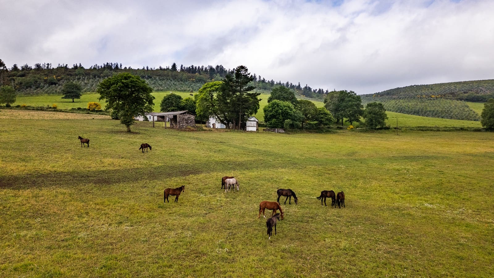 3 soveværelse Finca/Landehus til salg i Friol - € 235.000 (Ref: 9103182)