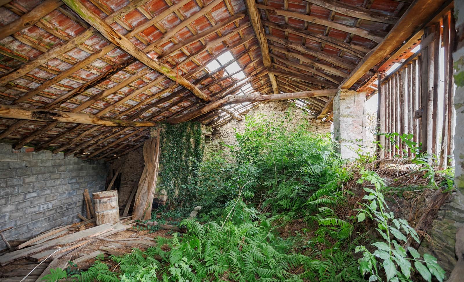 Finca/Casa Rural de 4 habitaciones en O Saviñao en venta - 90.000 € (Ref: 9115261)