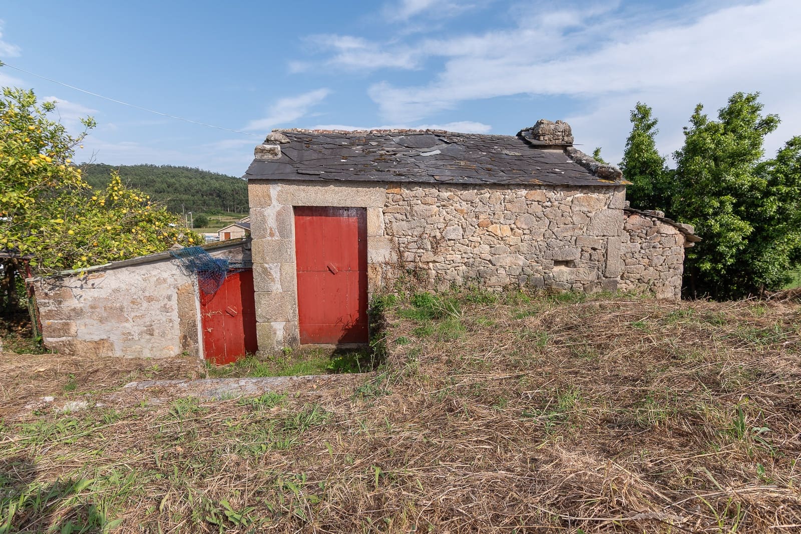 4 soverom Finca/Herregård til salgs i Cervo - € 180 000 (Ref: 9146205)