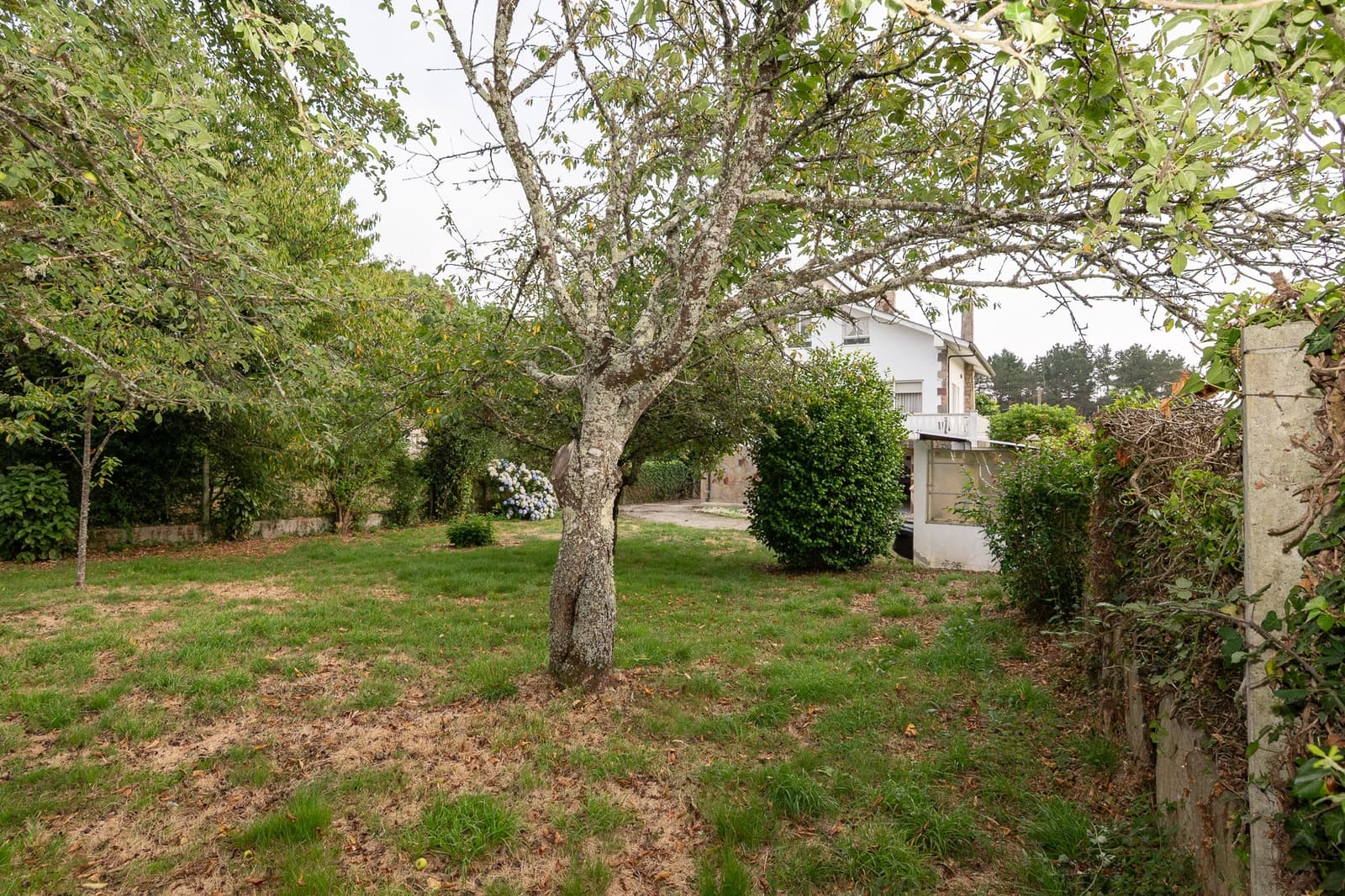 3 soveværelse Finca/Landehus til salg i Begonte - € 260.000 (Ref: 9183201)